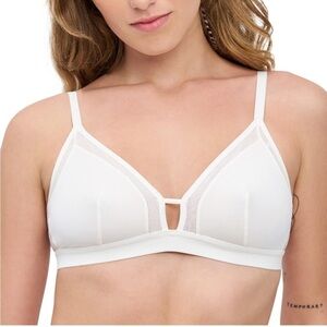 Mesh Magic: Embrace Sheer Confidence wBLAKE & CO.'s Unlined Mesh Inset Bralette!